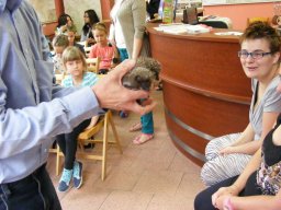 Poznaj swój region cz. 1